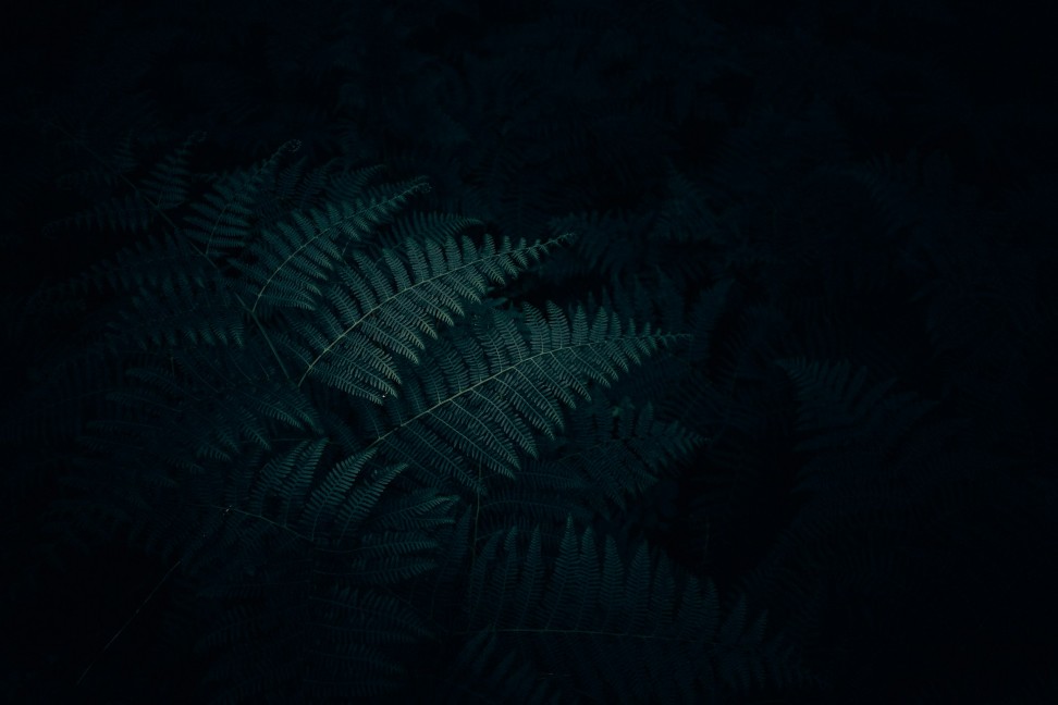 Image default