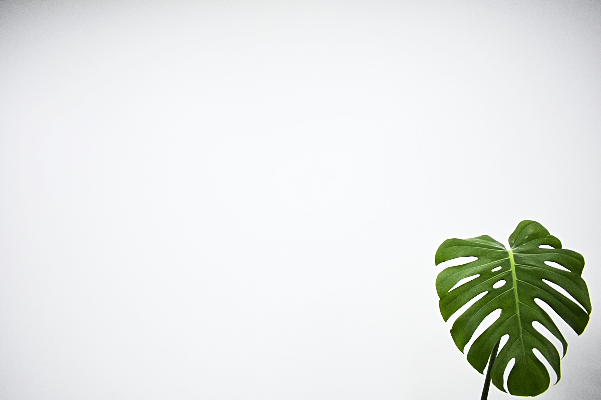 Image default